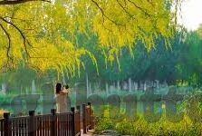 av免费观看日韩-解锁文化交流的窗口，日韩AV免费观看的多元视角