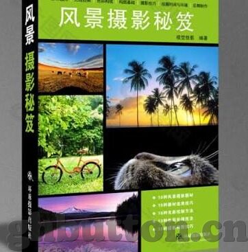 麻豆91下载-麻豆91下载，网络下载平台与内容消费的多元化探索