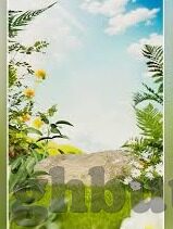 麻豆传谋app下载b站-奢享浪漫，麻豆传谋——探索风靡一时的直播平台