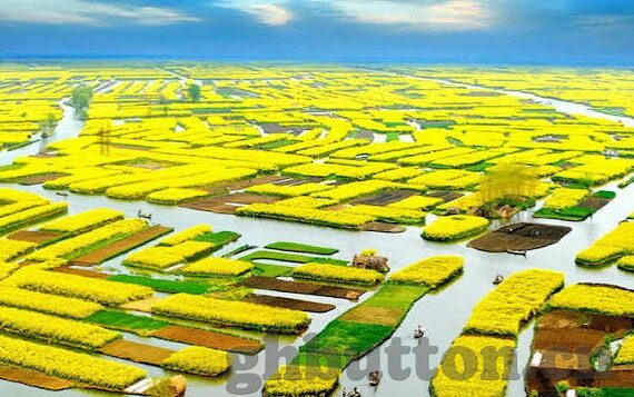 麻豆免费传媒视频-新观察，互联网娱乐的革命——麻豆免费传媒视频平台解析