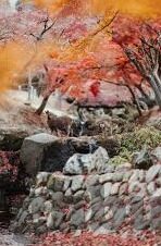 神秘电影果冻传媒-神秘电影，果冻传媒的奇幻之旅