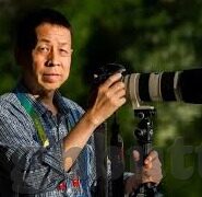 死侍在线观看费中文字幕-死侍，一部融合幽默与动作的独特电影体验