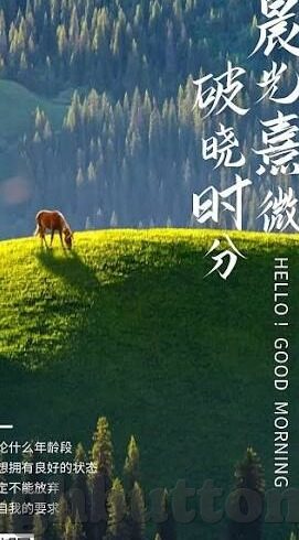 糖心app免费版-糖心app的免费魅力，全方位体验与选择