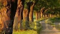 亚洲国产一区二区三区-探索亚洲影视文化的多元视角，一区、二区、三区的独特魅力