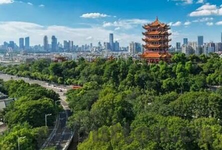 亚洲麻豆一二三四区av-探索网络世界中的文化与虚幻边缘，亚洲影像内容浅析